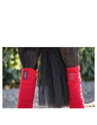 ANKY® Bandages ATB001