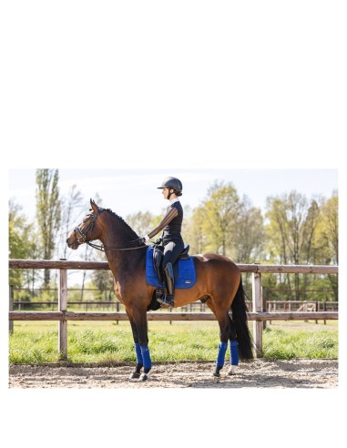ANKY® Bandages ATB001