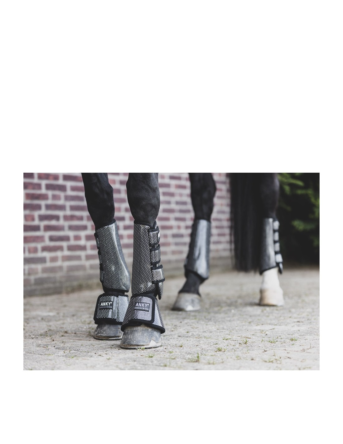 ANKY® springschoenen Climatrole Shiny... ANKY® springschoenen Climatrole Shiny...