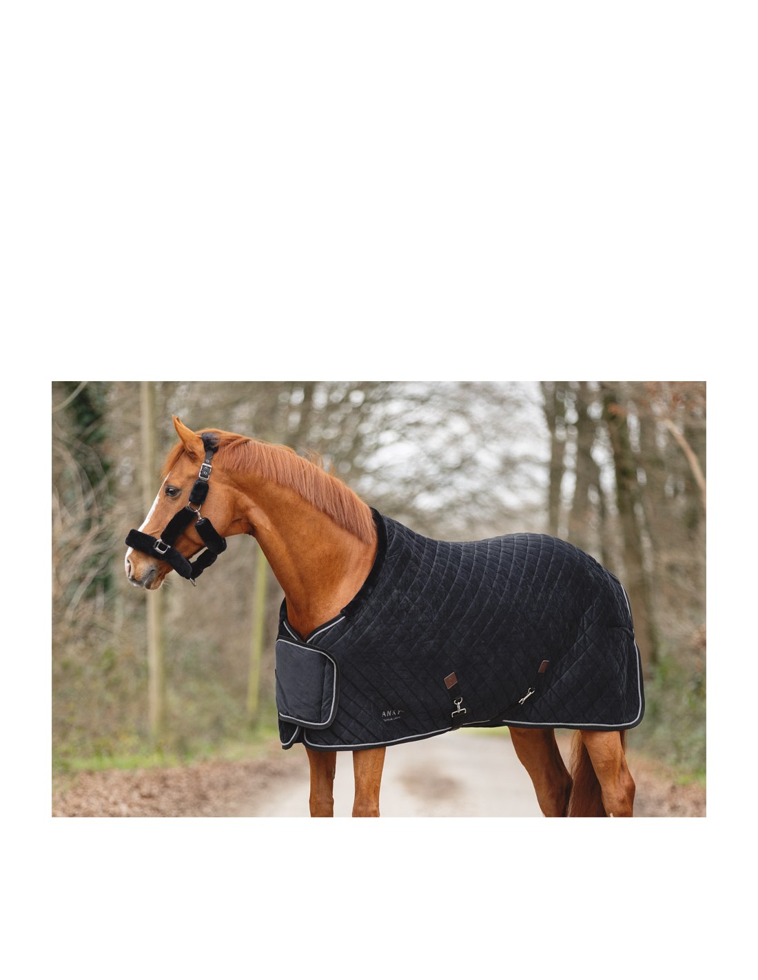 ANKY® Show Rug Victory ATB24006 ANKY® Show Rug Victory ATB24006