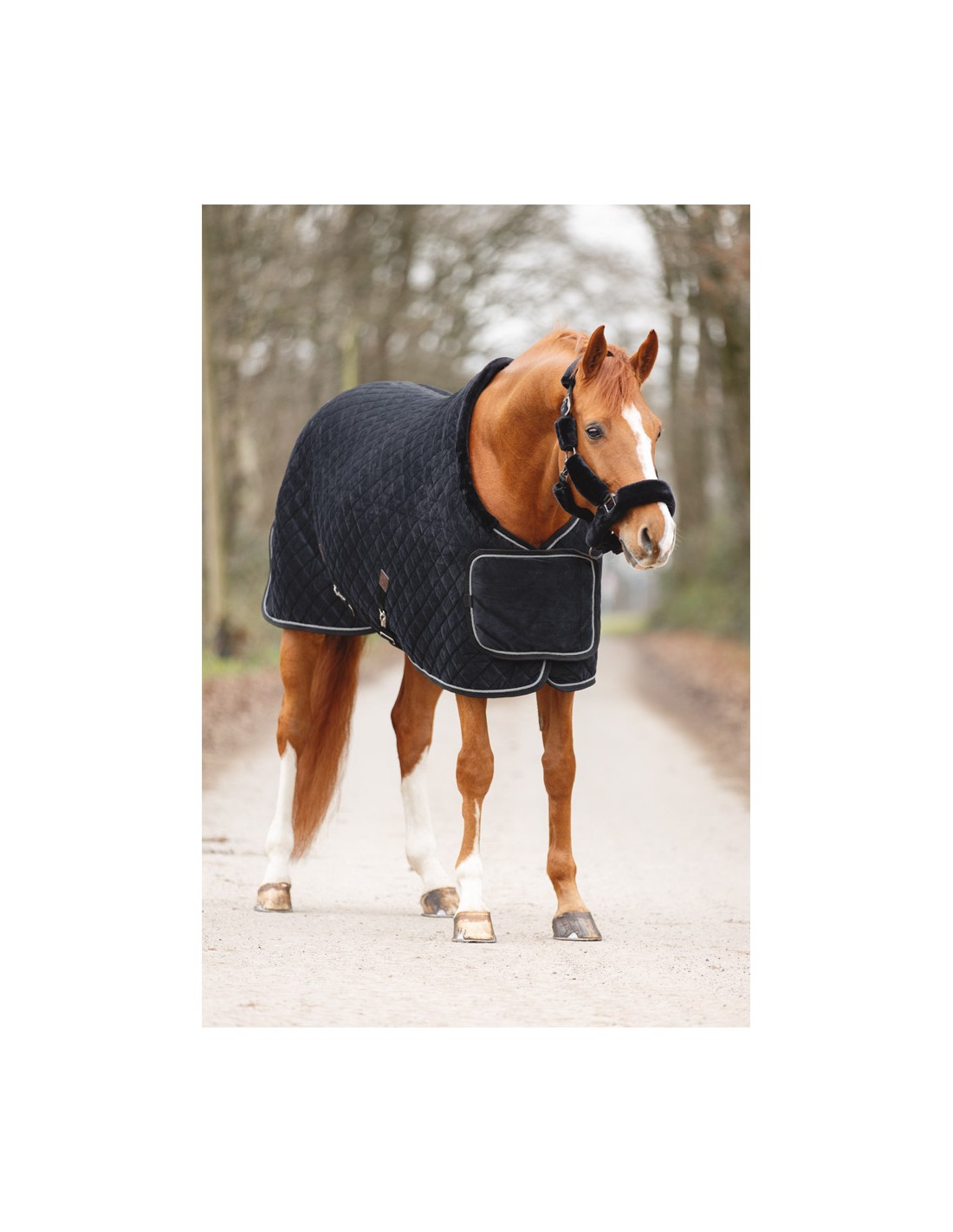 ANKY® Show Rug Victory ATB24006 ANKY® Show Rug Victory ATB24006